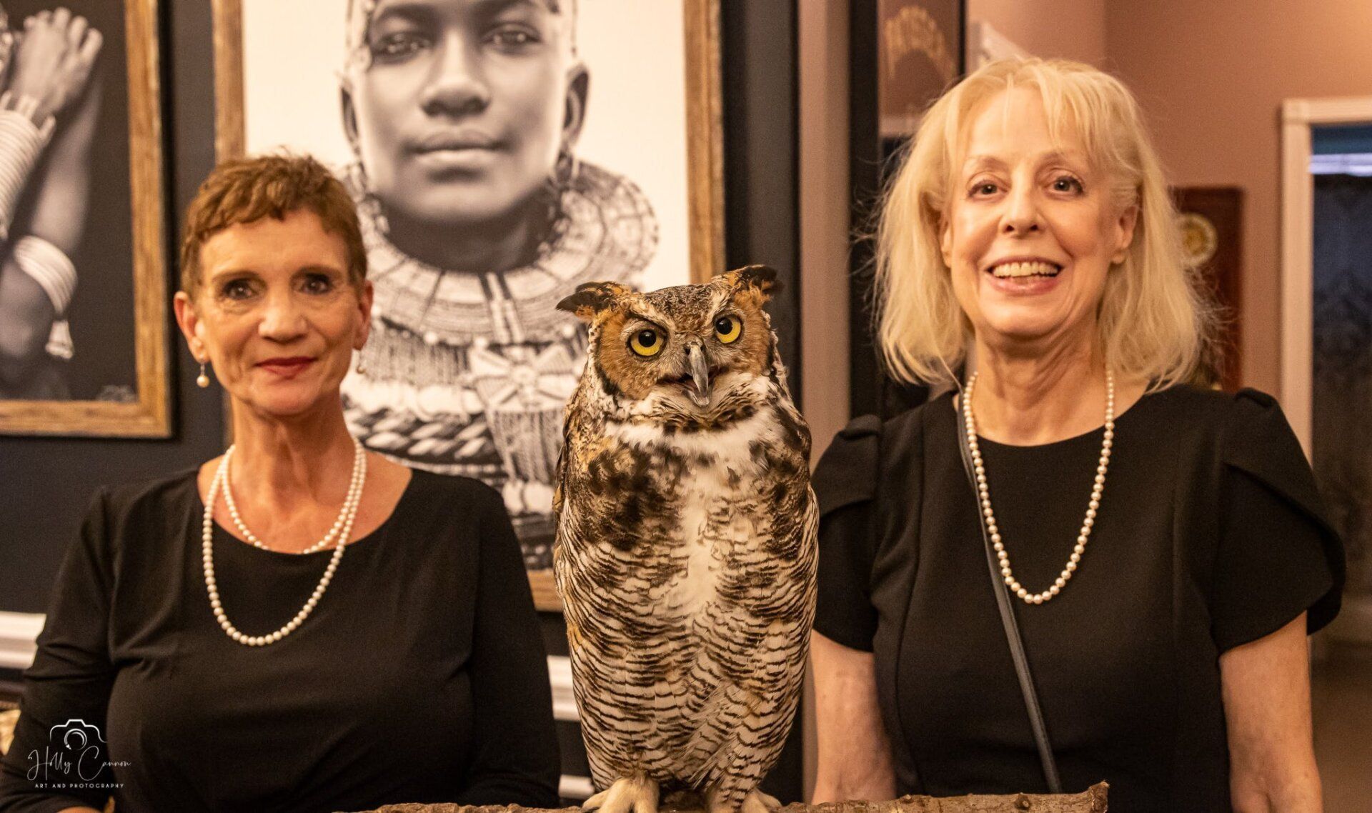 Executive director with Great Horned Owl