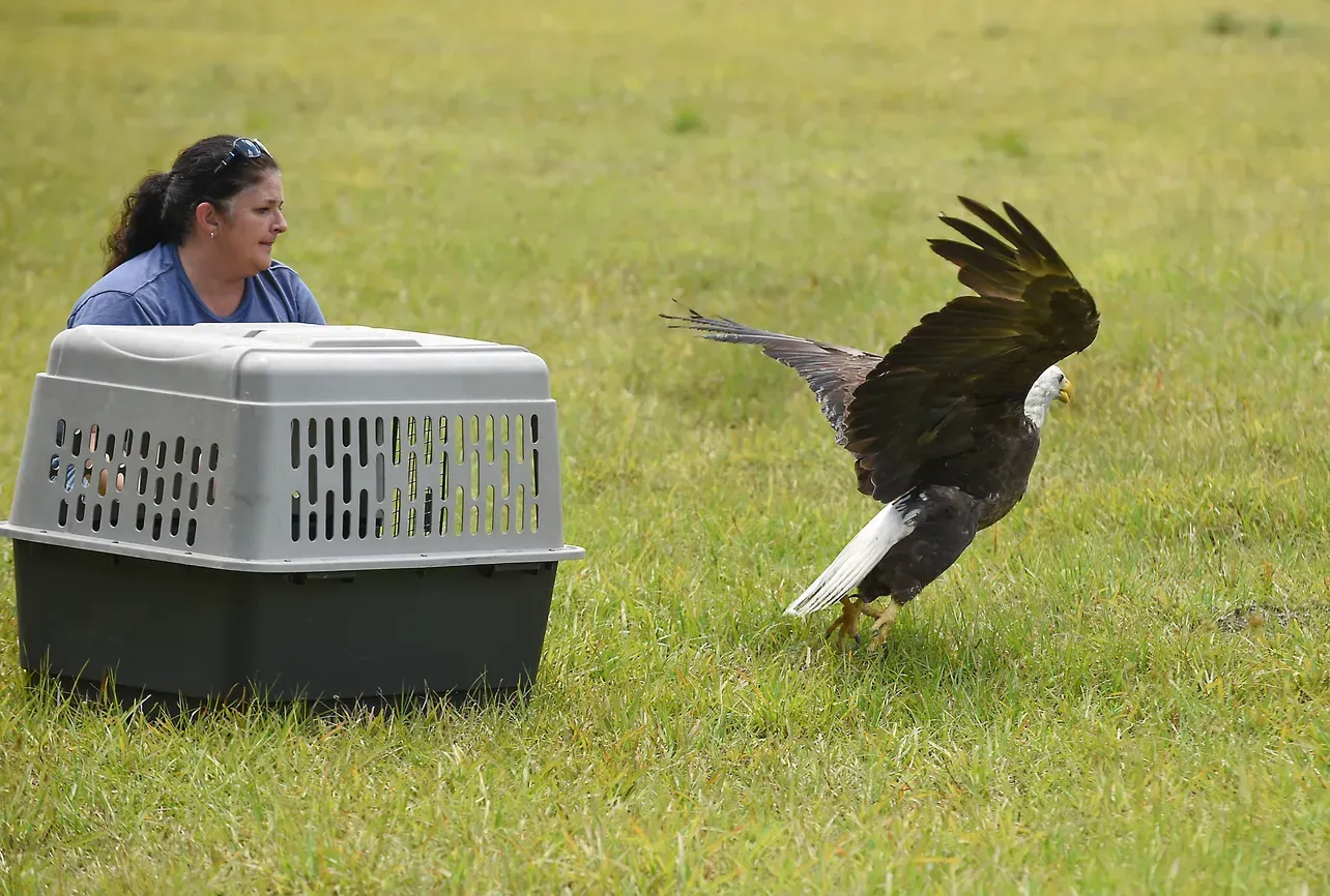 Treasure Coast Wildlife Sanctuary