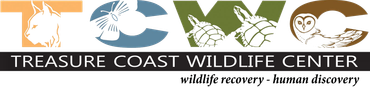 Treasure Coast Wildlife Sanctuary