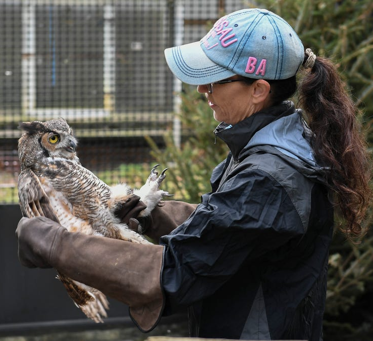TCPalm: TCWC Rehabilitates Injured Wild Animals in Palm City