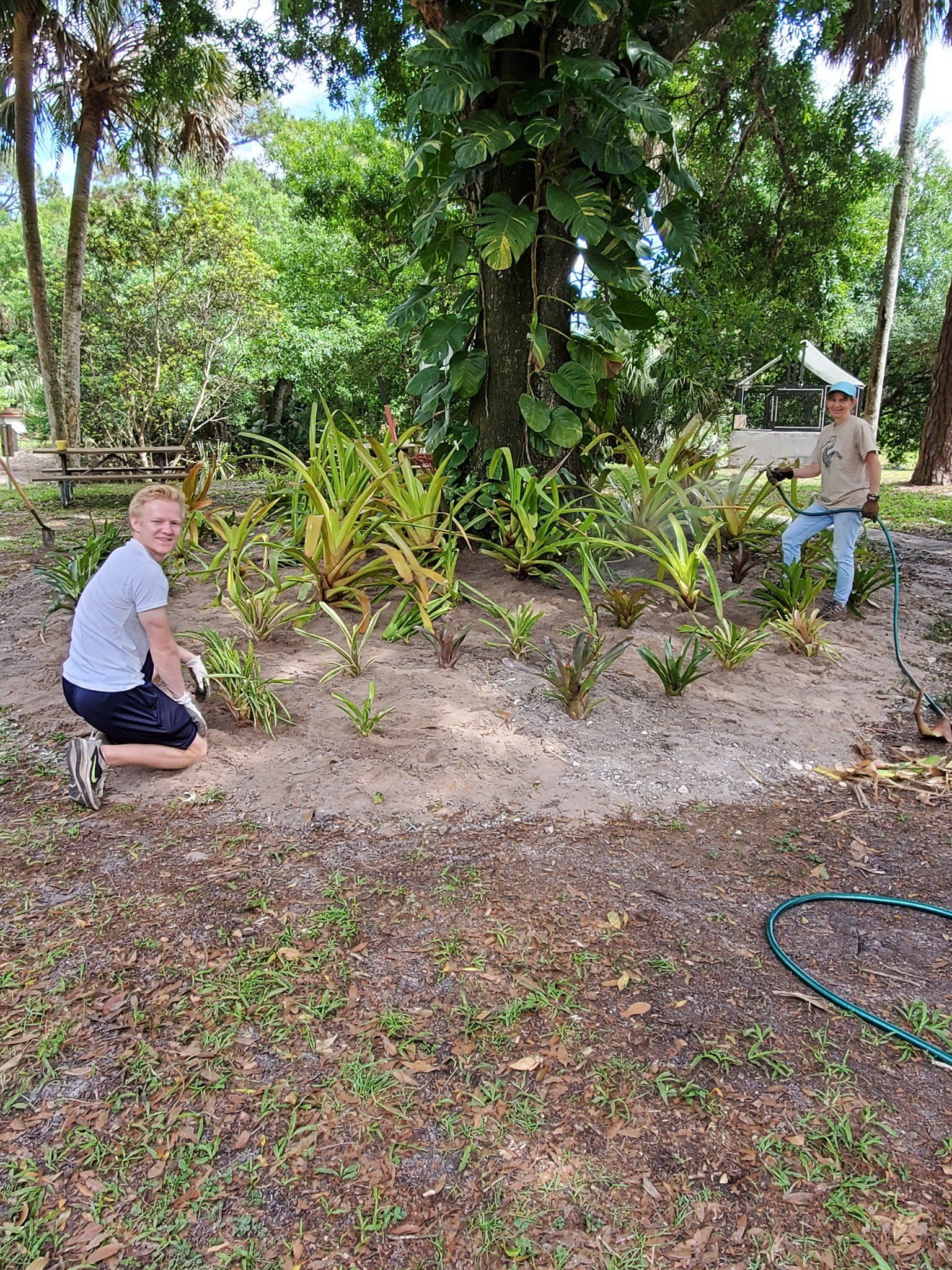 two staff members watering freshly planted plants