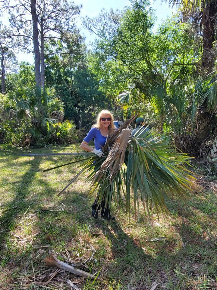 palmetto branch clippings