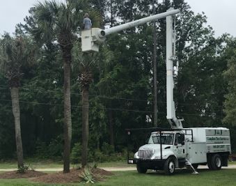 Utility bucket truck trimming trees beside a wooded roadside.