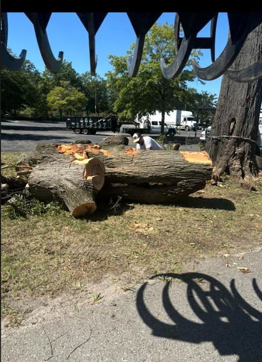 Cut logs in a sunny outdoor yard beneath hanging metal decorations