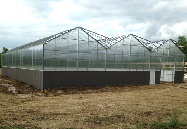 Greenhouses, their construction and equipment . Fig. 63.—Glazing with  double glazing points lower corner. The upper edge is kept inplace by the  bottom of the pane above it. Ad-ditional points are required