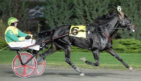 Guaranteed Adios Pick-8 announced – U.S. Trotting News