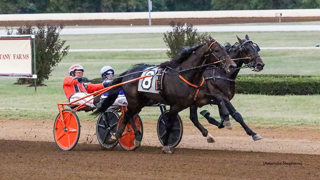 Discover Harness Racing: Sulky Racing History & Strategies
