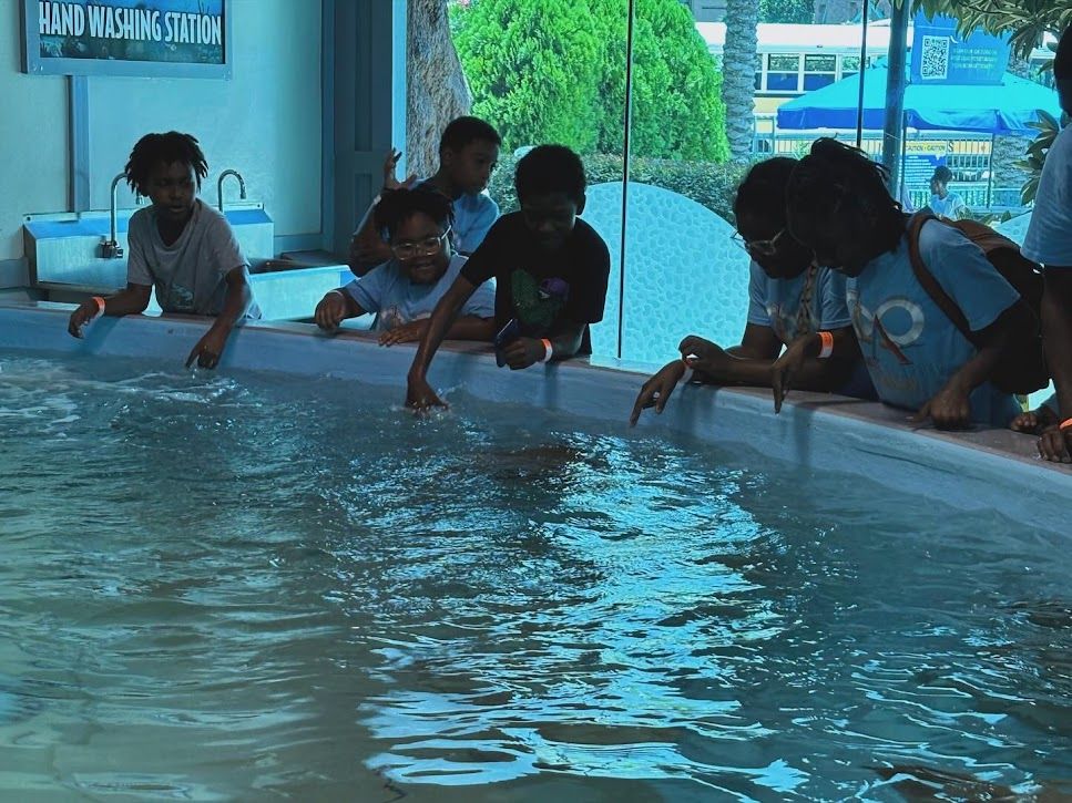 A group of people are looking into a pool of water