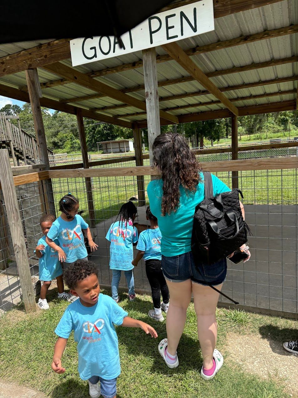 A group of children are standing in front of a goat pen.