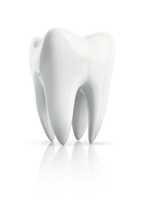 3d Human Tooth