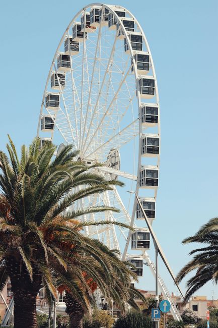 A large, white Ferris wheel rises against a clear blue sky, partially obscured by palm trees in the foreground.