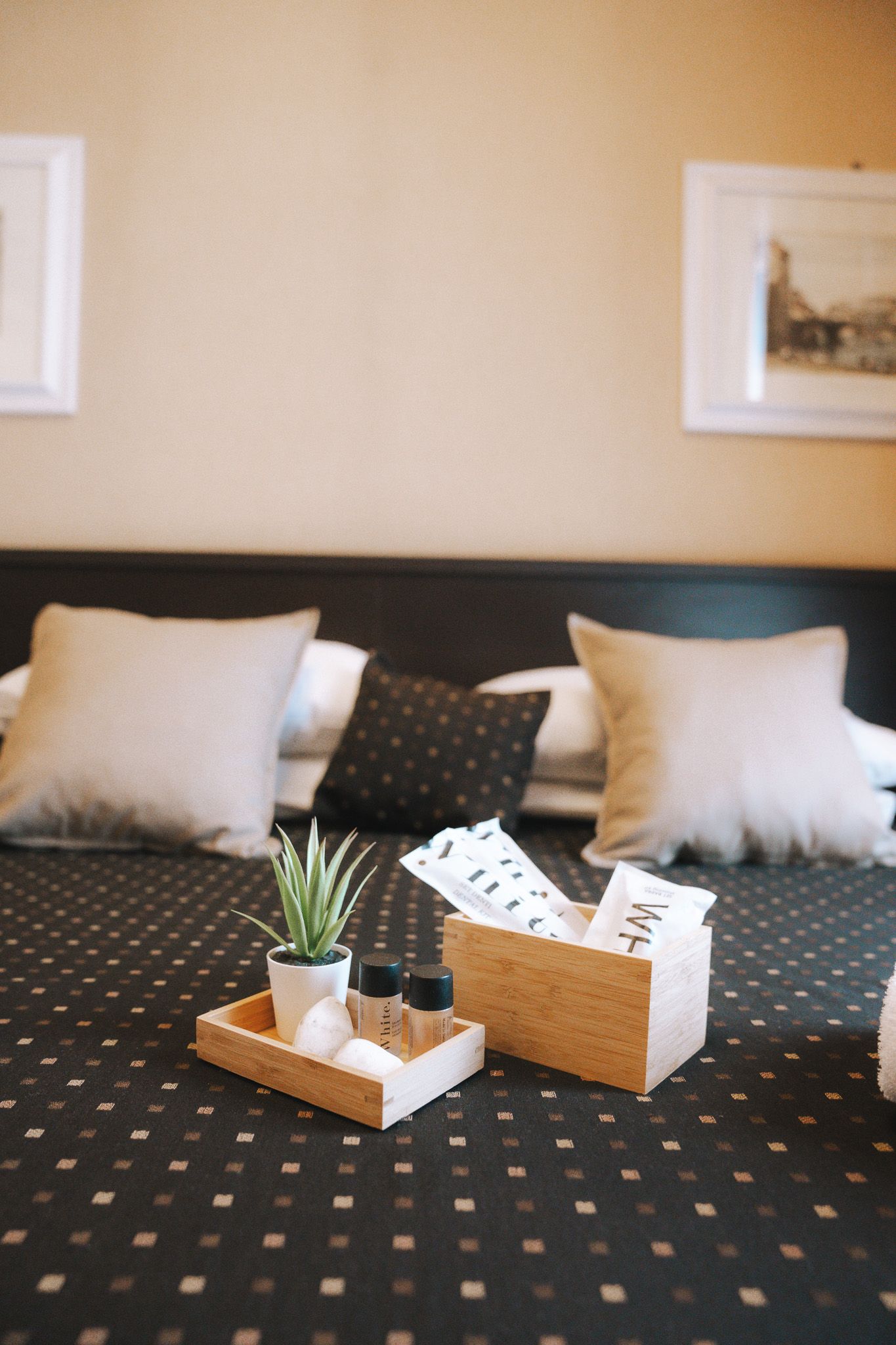 valigetta farmaceutica