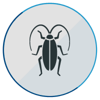 cockroach icon