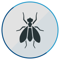 flying insect icon