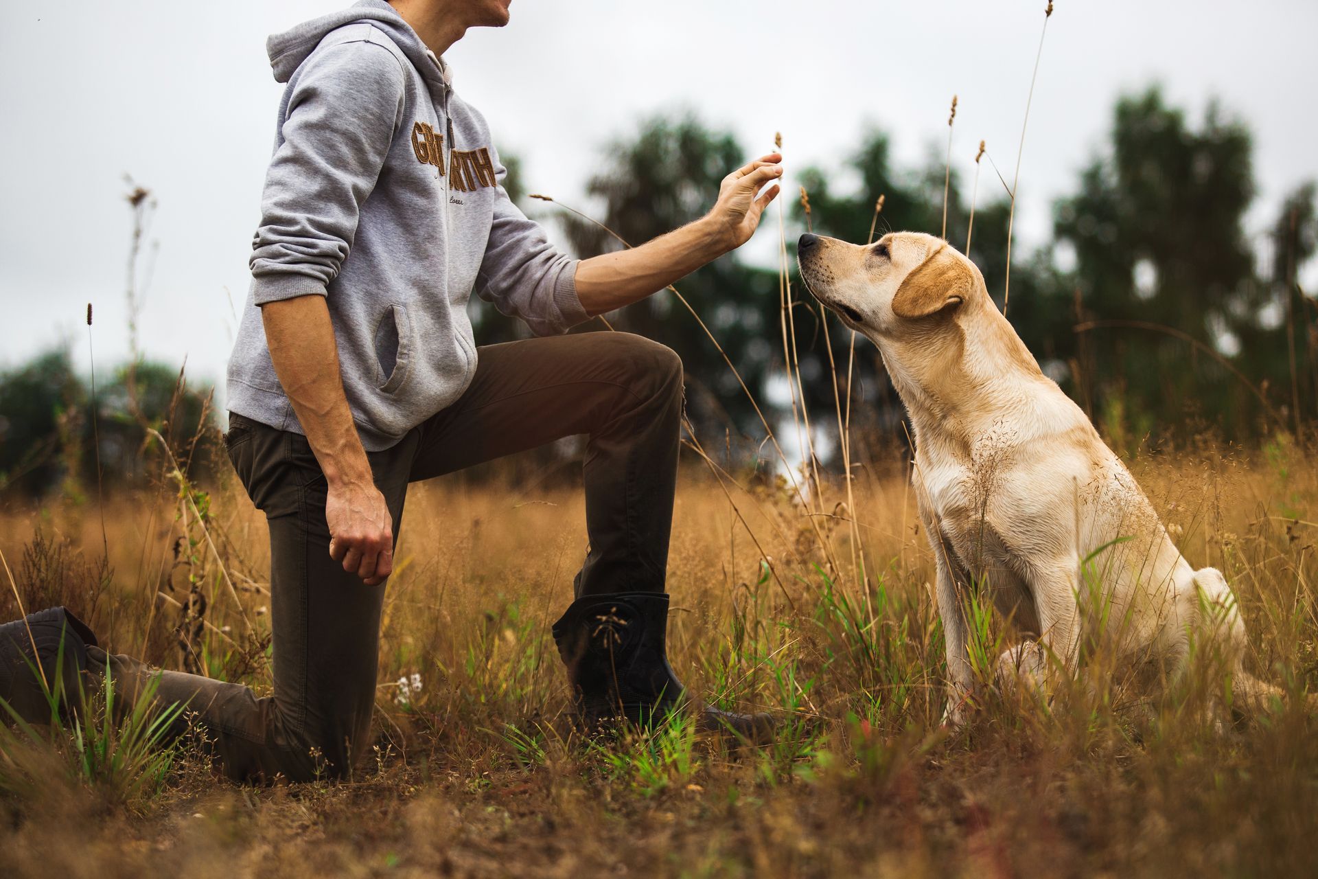 A man is kneeling down next to a dog in a field.