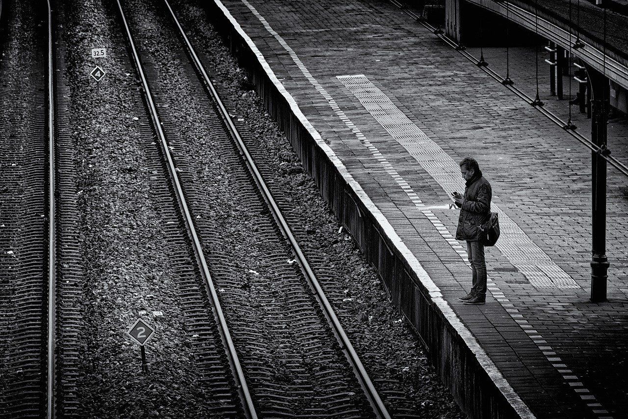 Naam: pexels-photo-15651115.jpeg