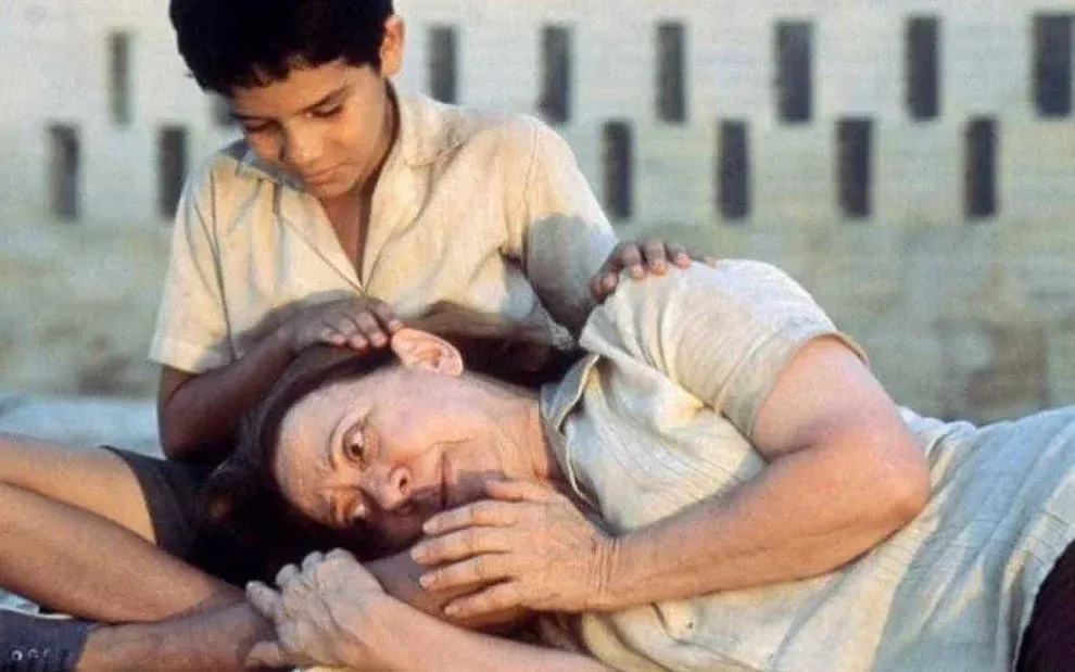 O Impacto da Logística no Uso Eficiente de Acervos