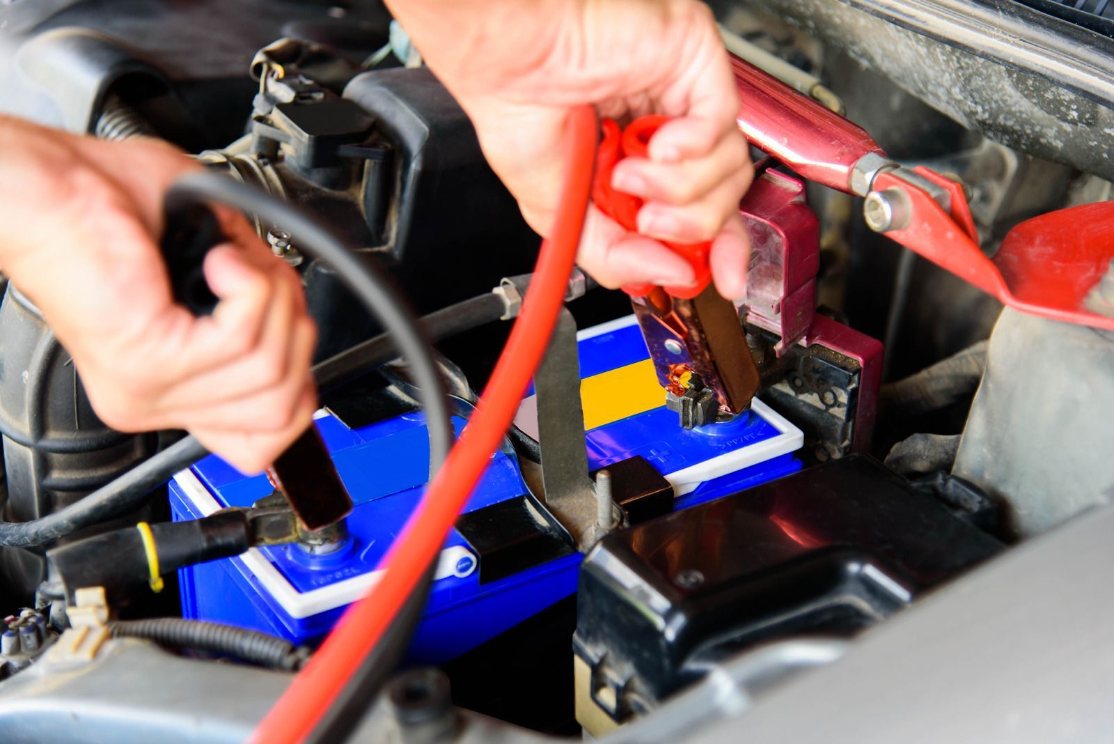 Woman holding jumper cables, preparing to jump-start car battery under the hood.
