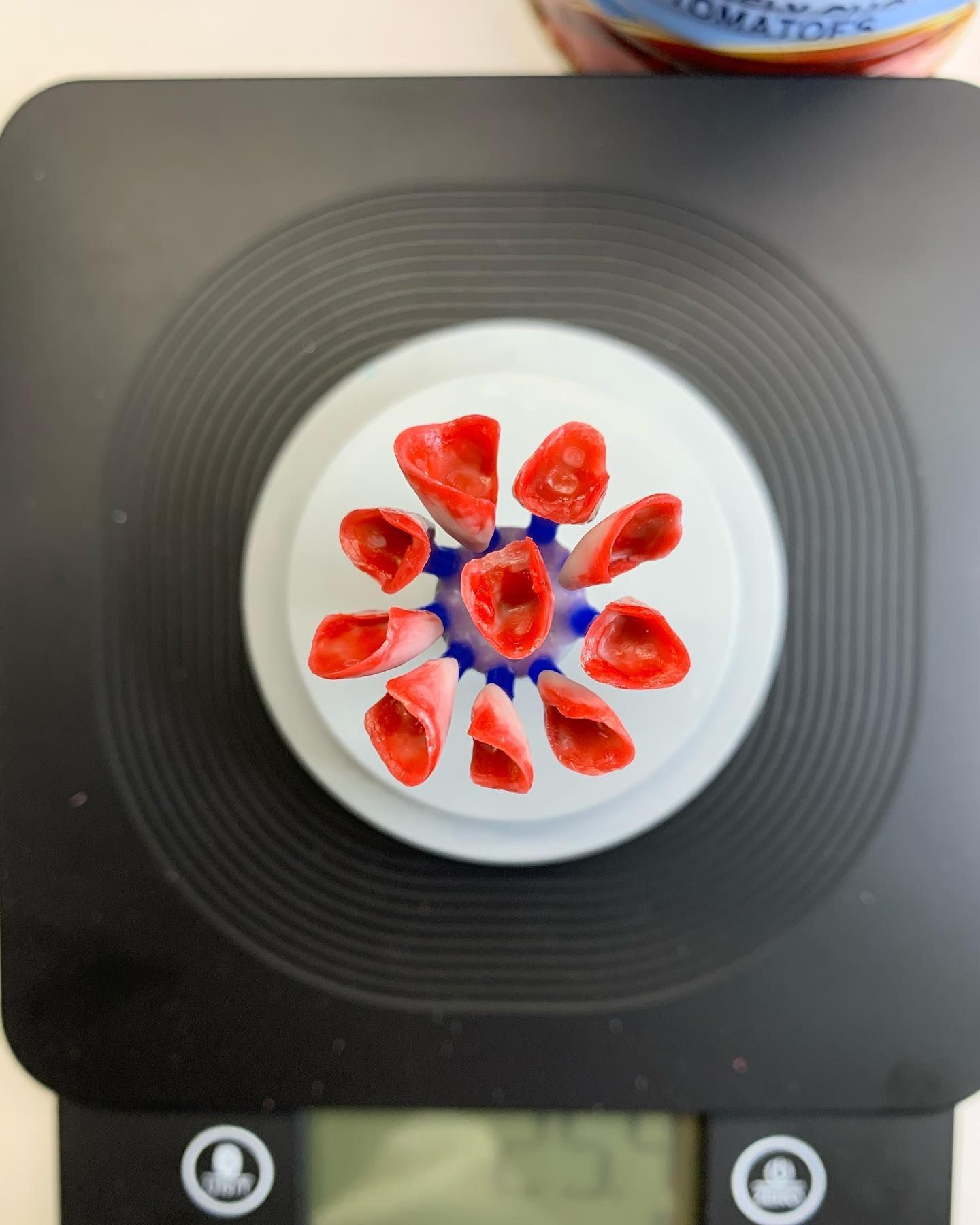 A white circular object with red, tube-like items arranged around a blue center, on a black scale— AB Esthetic Dental Laboratory in Robina, QLD