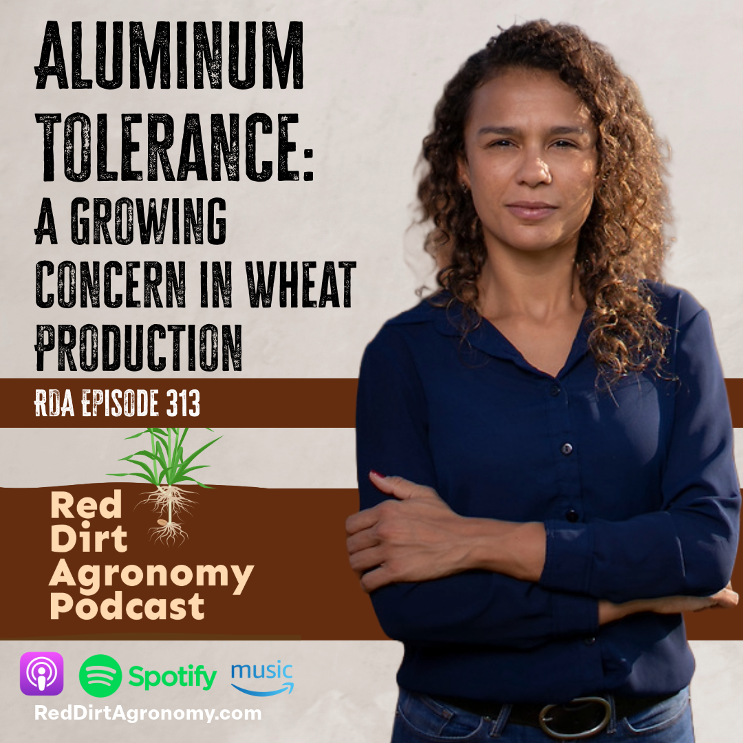 Dr. Amanda Silva of Oklahoma State University stands with her arms crossed in front of a poster that says aluminum tolerance a growing concern in wheat production.
Top Farming Podcasts,
Agriculture Industry Podcast,
Agronomy Insights Podcast,
Farming News and Updates Podcast,