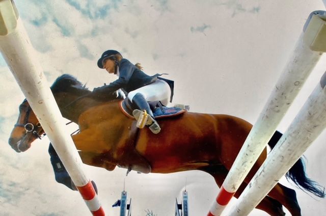 cavallo che salta un ostacolo