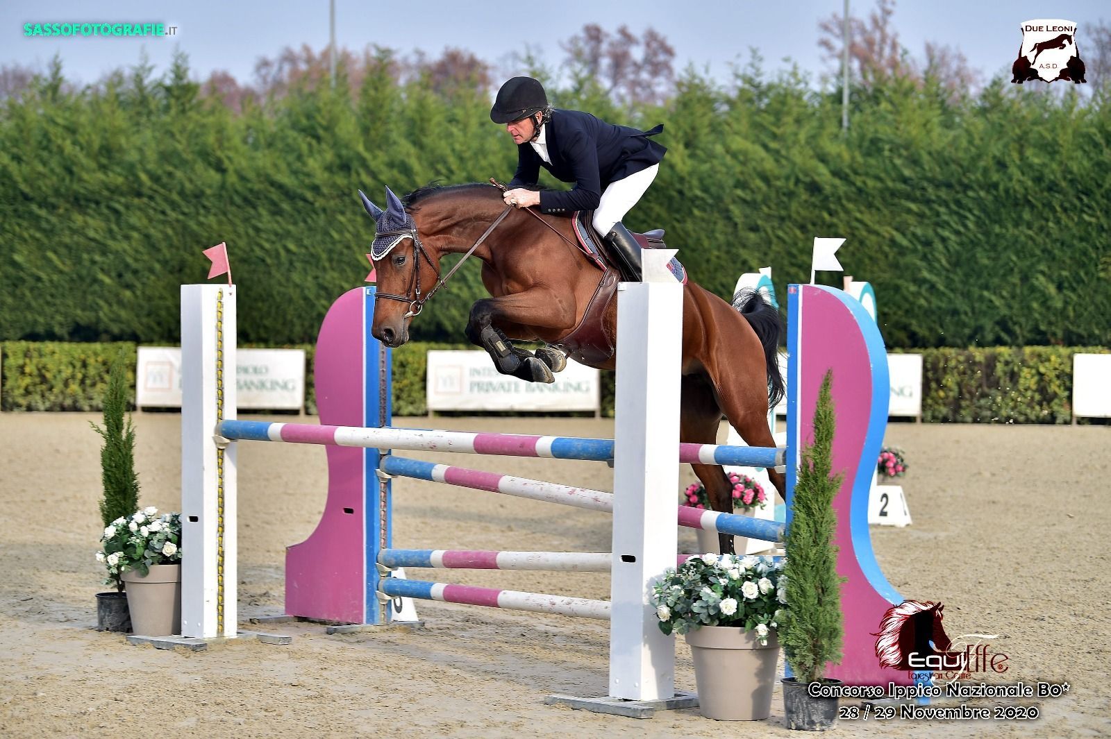 stage di equitazione