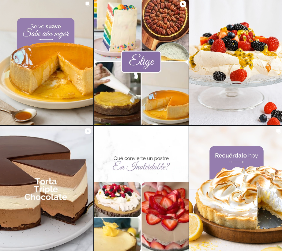 Surtido de tartas: de chocolate en capas, con frutas, arcoiris, de flan y de merengue de limón.