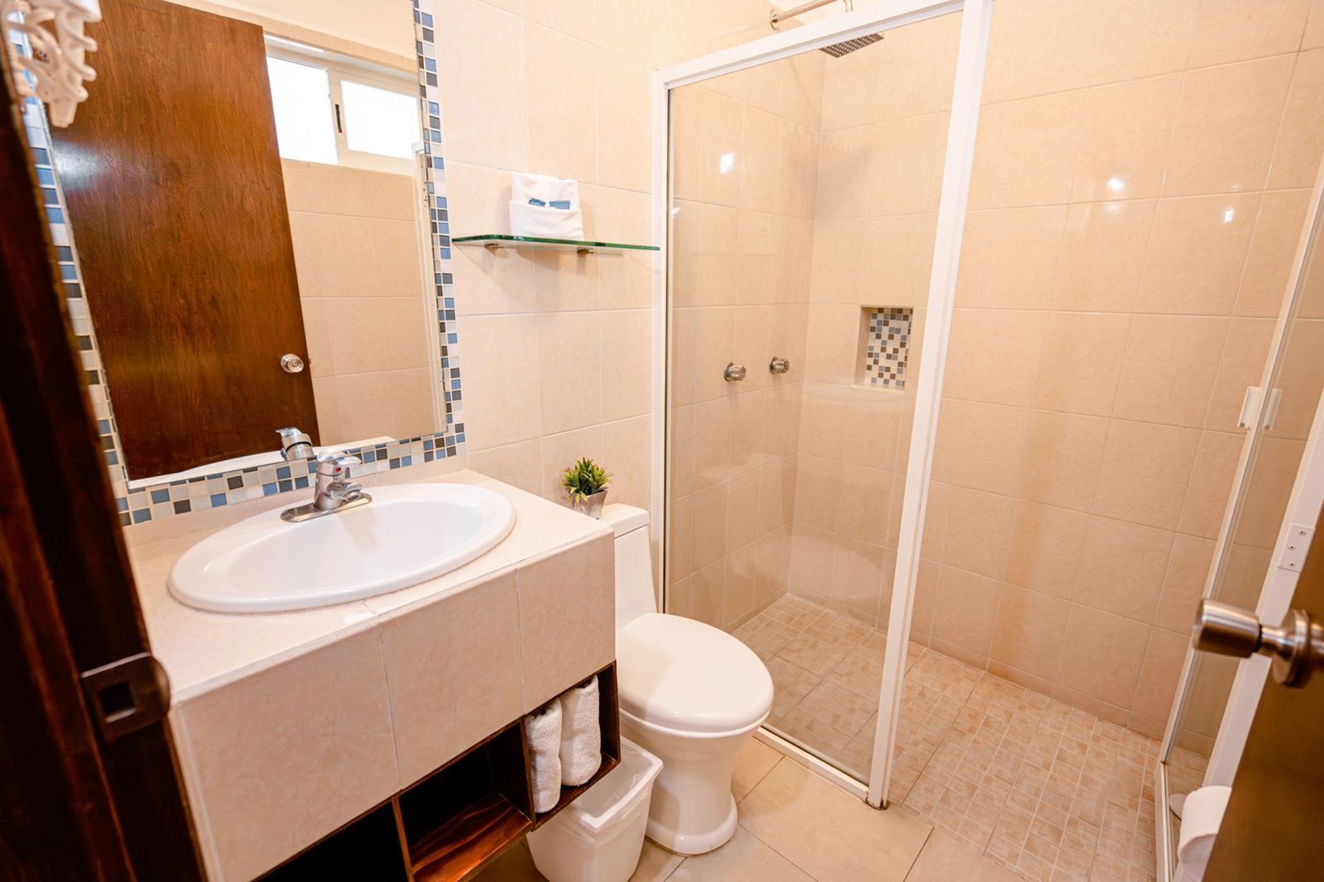 Baño con lavabo e inodoro blancos, ducha de cristal y espejo.