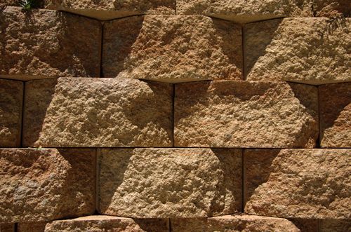 A Close Up Of A Brick Wall With A Plant Growing Out Of It - Millville, CA - Concrete Construction Excavating Inc.