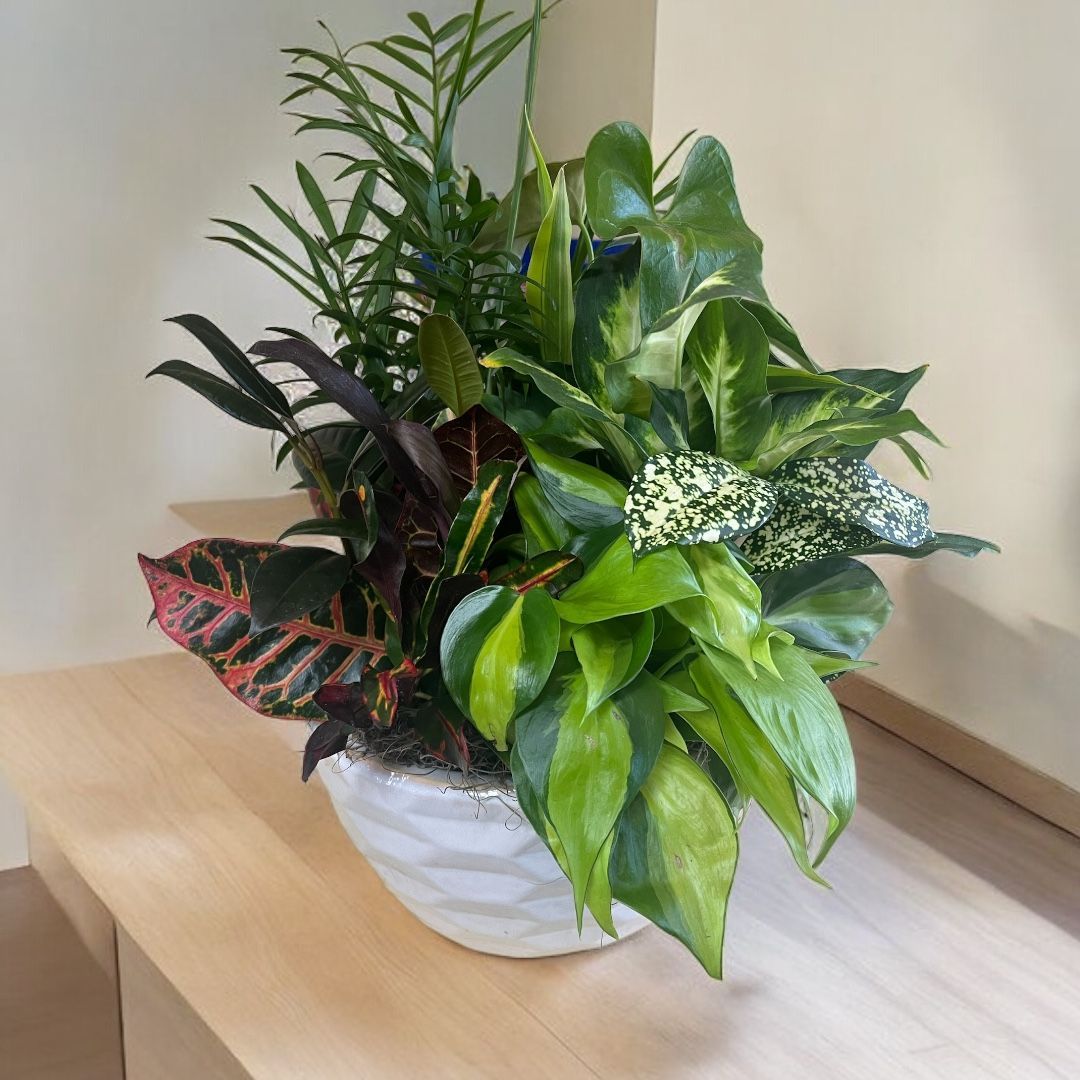 A bunch of vases filled with flowers are sitting in a refrigerator.