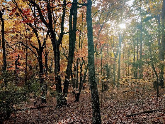 Sawnee Mountain Preserve - Cumming, GA - Potts Towing