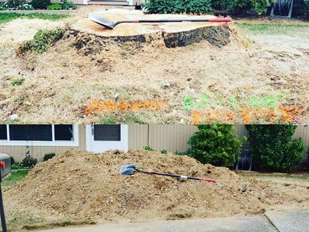 Grinding maple stump on a sloped Tigard yard with window protection screens