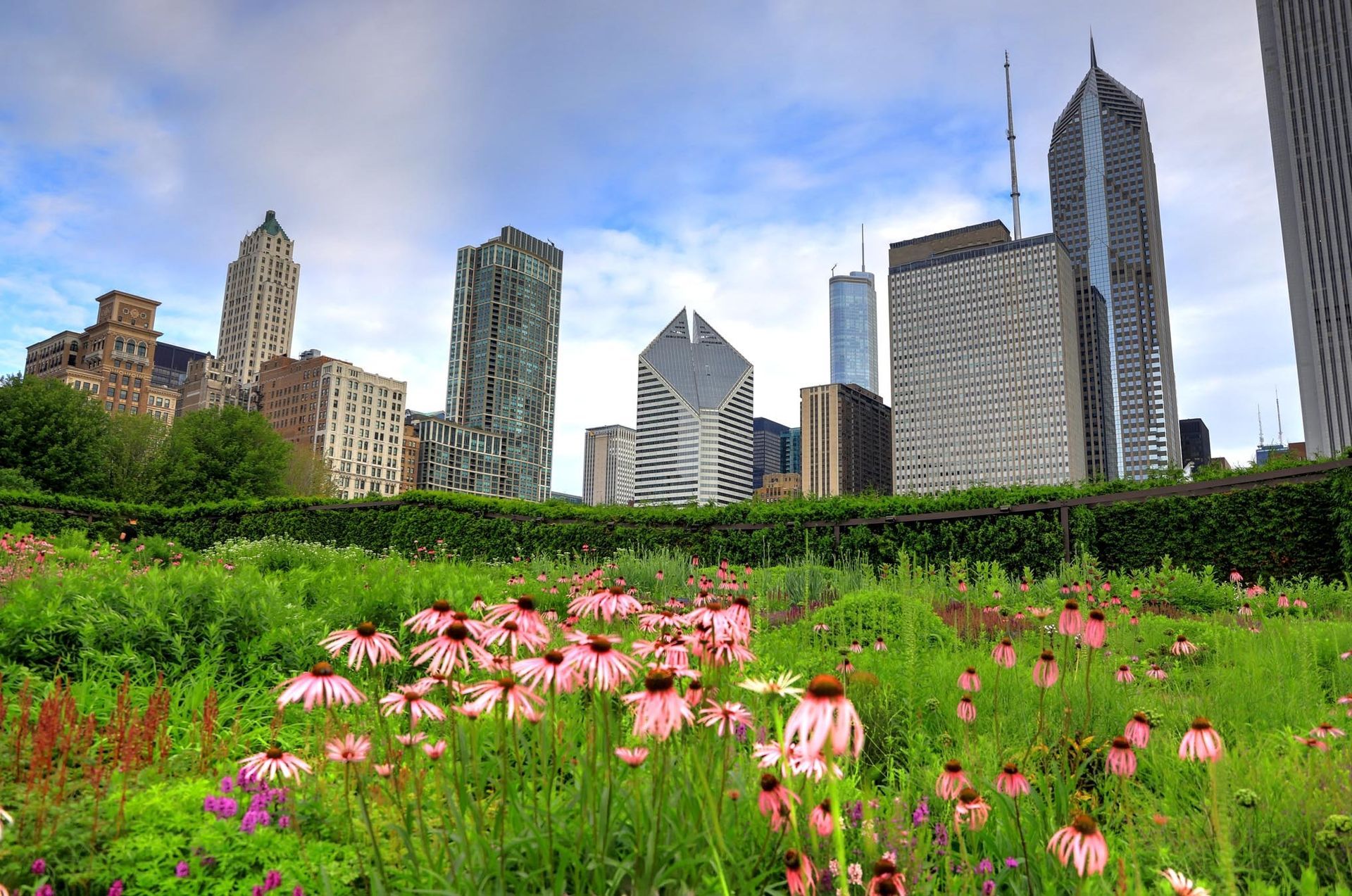 Flowers in a garden with a city skyline in the background under a cloudy sky.