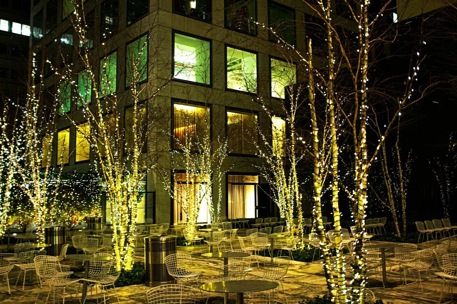 Exterior of a building lit at night, with trees wrapped in fairy lights and outdoor seating in a garden setting.