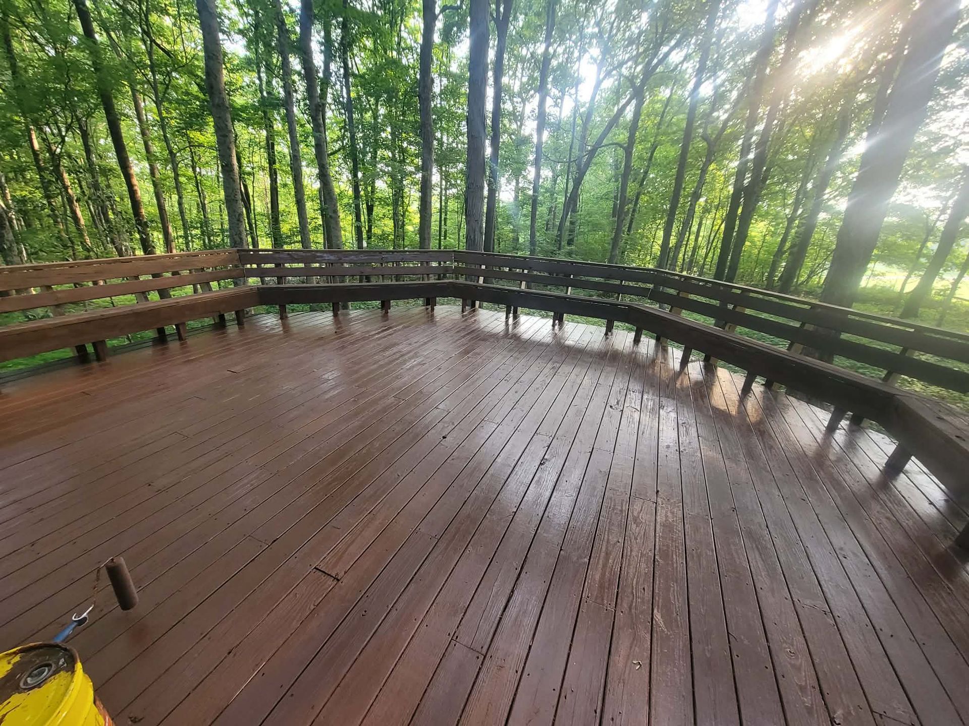Wooden deck with benches, surrounded by trees. Sunlight shines through the canopy, creating a bright atmosphere.