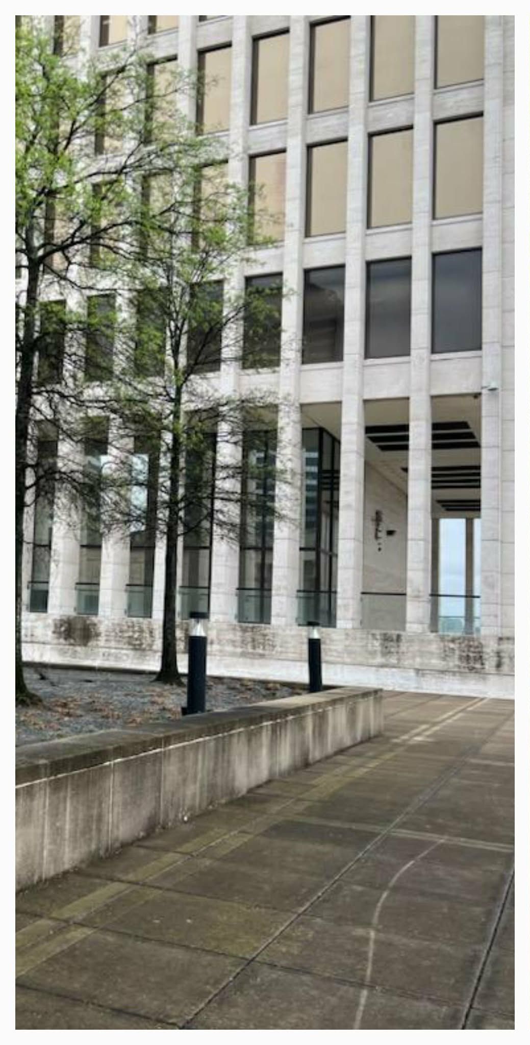Exterior of a modern building with many rectangular windows. Trees stand beside a paved walkway.