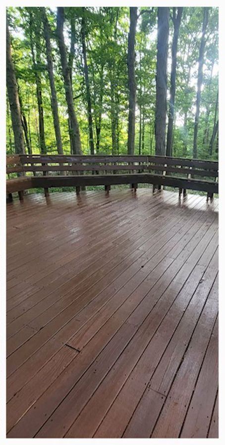 Wooden deck with a curved bench overlooking a forest of tall trees.