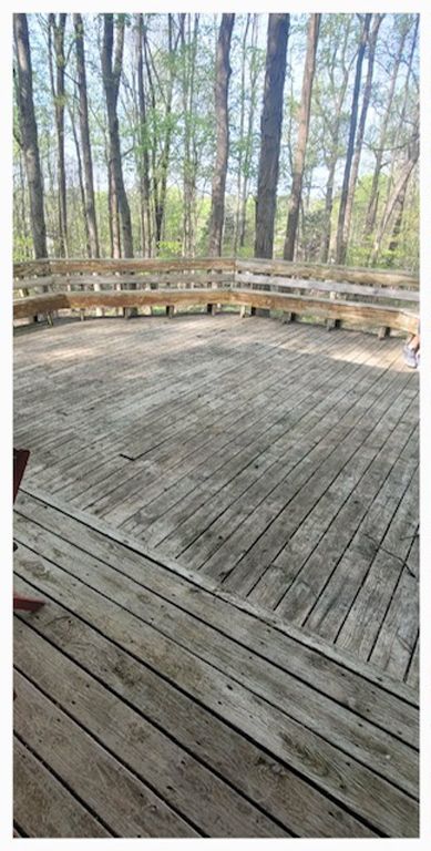 Wooden amphitheater deck with tiered seating, surrounded by trees.