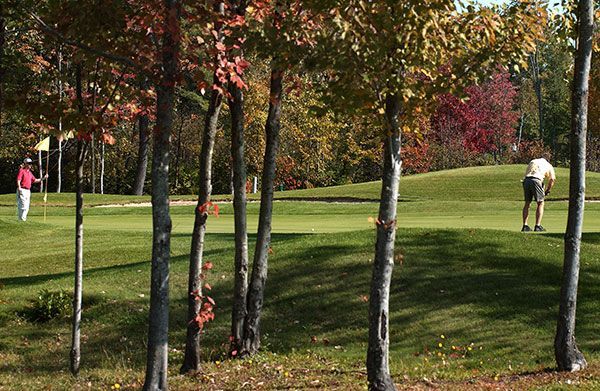 A man is putting on a golf course surrounded by trees.