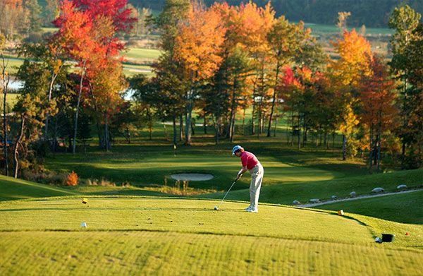 A man is playing golf on a golf course with trees in the background.