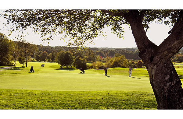 A golf course with a tree in the foreground