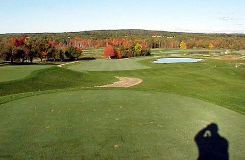 A person is taking a picture of a golf course with trees in the background.