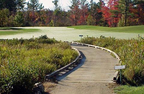 A wooden walkway leading to a golf course with trees in the background
