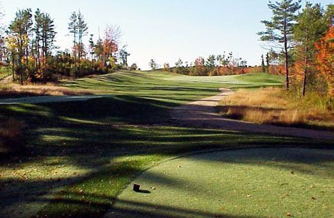 A golf course with trees and grass on a sunny day
