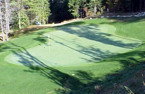 A golf course with a green and trees in the background