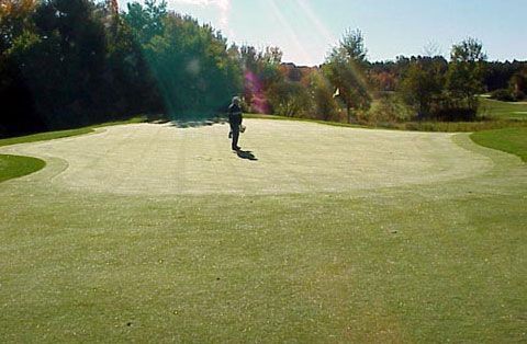 A person is standing on a golf course holding a golf bag.
