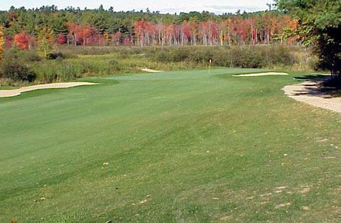 A golf course with a green and trees in the background