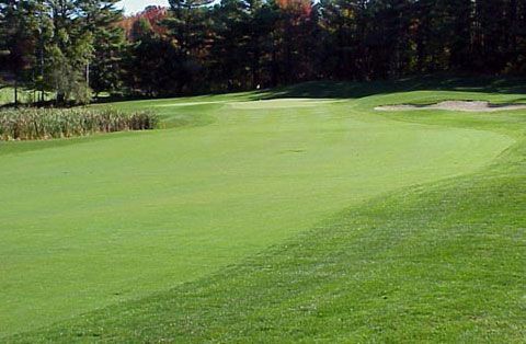 A golf course with a green and trees in the background