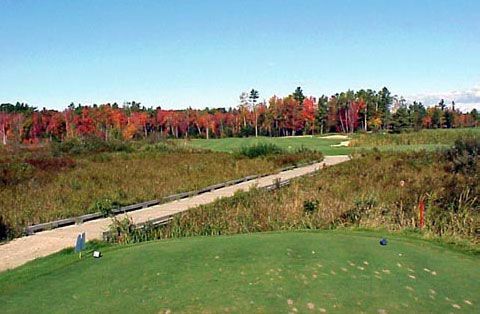 A golf course with a dirt road going through it and trees in the background.