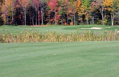 A golf course with a lot of grass and trees in the background